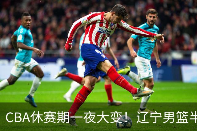 CBA休赛期一夜大变！辽宁男篮半路杀出抢布朗，胡金秋或有价无市